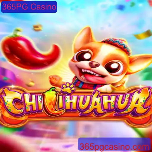Descubra o Novo Jogo de Casino CHILIHUAHUA no 365PG Casino